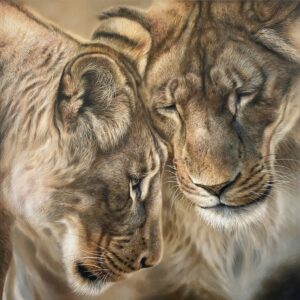 Two Lionesses together, original art painting