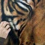 Acrylic tiger art details