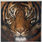 Sleeping tiger art on the wall